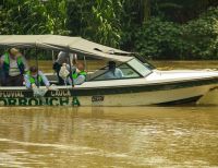 80.000 alevinos llenan de vida el río Cauca