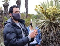 La CVC y El Batallón de Alta Montaña acompañaron recorrido de expertos en visita a zona de páramo para identificar especies cultivadas en Barragán