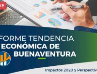 Estudio sobre los Impactos Socioeconómicos y Empresariales generados durante el año 2020 en el Distrito de Buenaventura y expectativas 2021