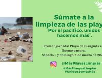 Influenciadores digitales de Cali realizarán jornada de limpieza en playas de Buenaventura