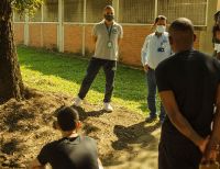 La CVC capacitará a jóvenes infractores para dar manejo a la hormiga arriera