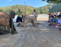 Obra teatral de la CVC enseñó a respetar la fauna silvestre en El Queremal y Vijes