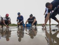 Comunidad ayuda a 200 tortuguitas a llegar al mar en Puerto España zona rural de Buenaventura