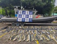 Interceptan tres lanchas de bandera extranjera con 1.6 toneladas de pesca ilegal en el pacífico nariñense