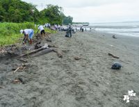 Con la participación de 9 organizaciones, Asogesampa y Cempre realizaron una nueva jornada de limpieza de playas