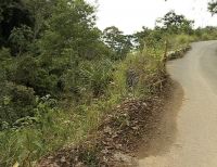 Muro de contención garantizará conectividad en la vía Roldanillo - Bolívar en el Valle del Cauca