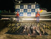 Fueron incautados de 594 kilogramos de pesca ilegal en el área general de Isla Gorgona