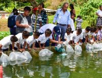 8.000 peces fueron sembrados para la seguridad alimentaria de comunidad indígena en Buenaventura