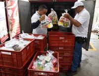 Más de 167 toneladas de alimentos y $ 380 millones recolectados en la Ayudatón