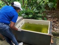 Adelantan acciones de control del Dengue y Malaria en Ciudadela San Antonio