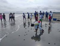 500 neonatos de tortugas marinas fueron liberados en Buenaventura