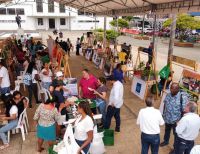 Éxito total en la Vitrina Verde de Buenaventura que organizó la CVC