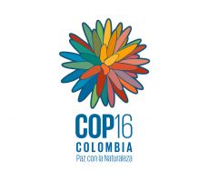 Colombia avanza en la preparación de la COP16: La COP de la gente!