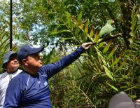 Se realizó la liberación de 74 animales de la fauna silvestre en La Bocana