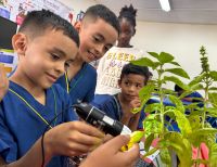 Cinco colegios públicos del Valle mostrarán sus experiencias ambientales en Foro Pre-COP16