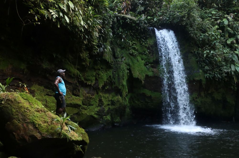 Líderes afrocolombianos e indígenas de Colombia destacarán la importancia de sus aportes a la biodiversidad y a la preservación del planeta en la COP16