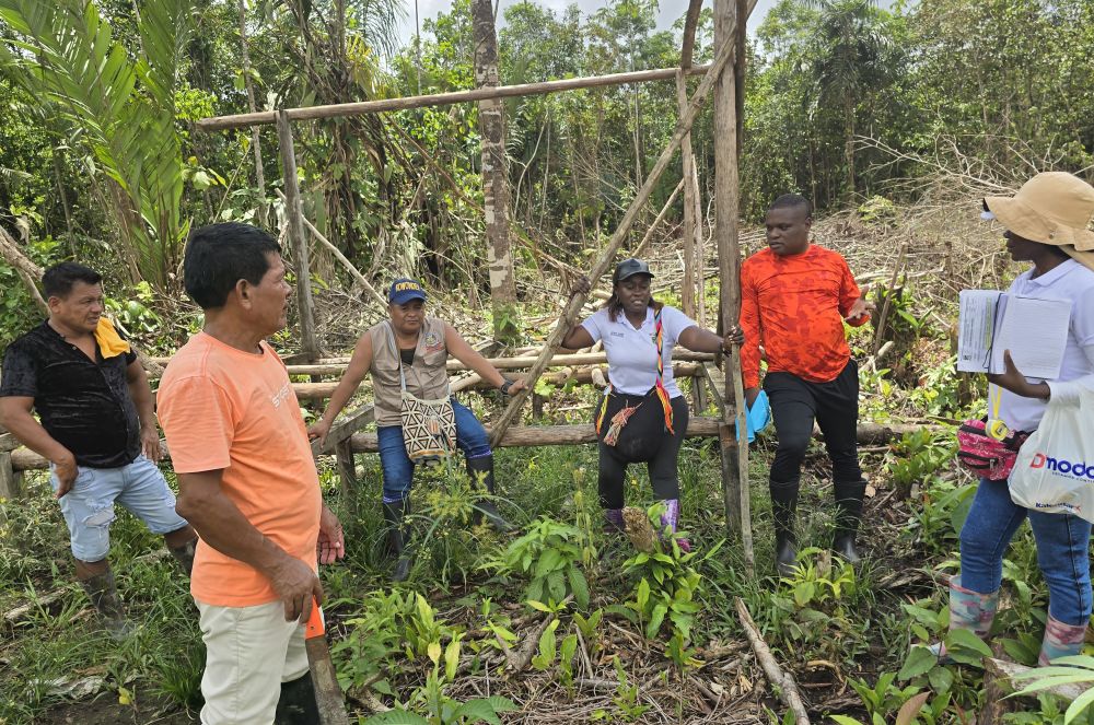 La Alcaldía Distrital de Buenaventura refuerza el desarrollo agropecuario en comunidades rurales con apoyo directo a 50 familias