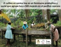 La recuperación del cultivo en azotea en el Pacífico Colombiano