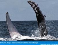 Ministro de Ambiente declara Uramba Bahía Málaga como El Parque Nacional Natural 56