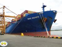 La Motonave MSC EGYPT con capacidad para 5600 Teus recaló con éxito en el Muelle 8 de la Sociedad Portuaria