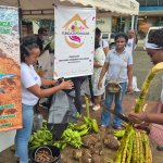 Buenaventura celebra el éxito de la Gran Feria Campesina “Pa’l Pacífico” en el Bulevar