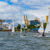 Buenaventura Bonita 15