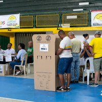 Elecciones 11