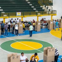 Elecciones 6