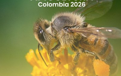 El Valle del Cauca acogerá el Tercer Congreso Internacional de Apicultura