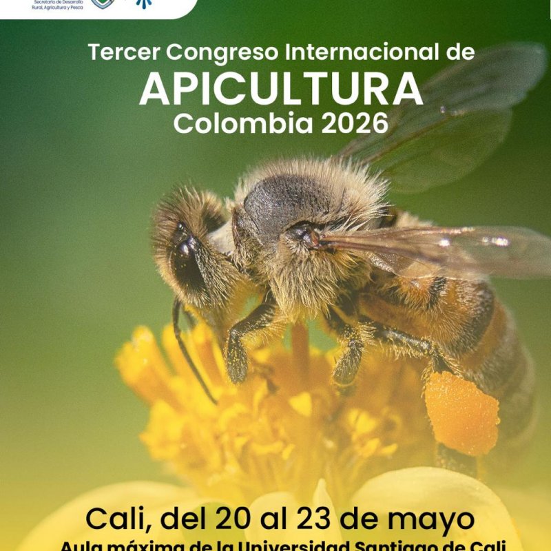 Apicultura Valle 1