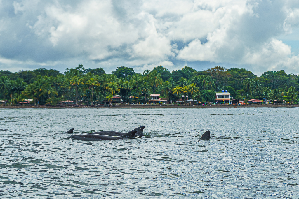 Buenaventura Bonita 17